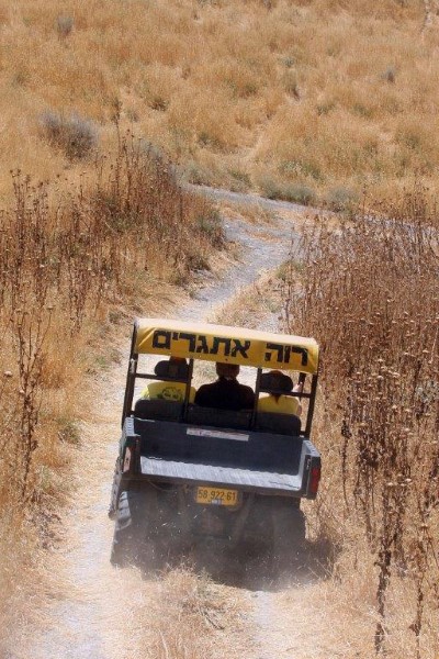 3 מתוך 546